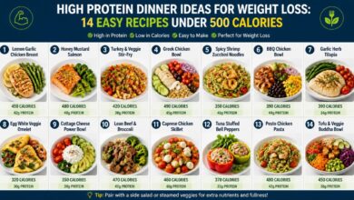 High Protein Dinner Ideas for Weight Loss: 14 Easy Recipes Under 500 Calories