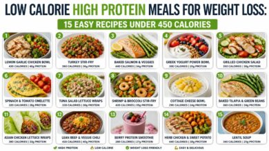Low Calorie High Protein Meals for Weight Loss: 15 Easy Recipes Under 450 Calories