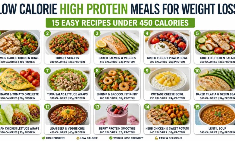 Low Calorie High Protein Meals for Weight Loss: 15 Easy Recipes Under 450 Calories